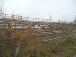 Стадион завода «Штамп», Фото