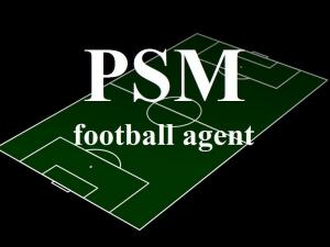 Profi-Soccer-Management, Фото