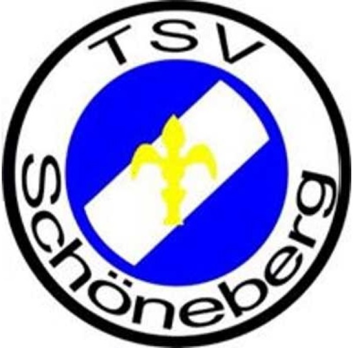 «Шёнеберг III» Хофгайсмар, Фото