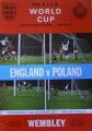 Англия - Польша - 1:1, Фото