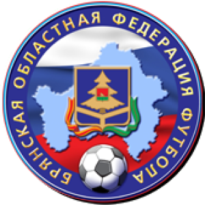Брянская областная федерация футбола, Фото